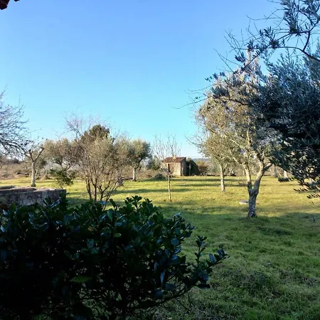 Gorgeous 2br Converted Barn, Serra Da Estrela Σπίτι διακοπών Vinho (Guarda)